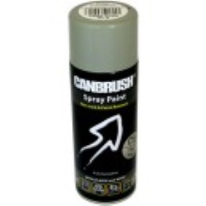 Chassis Spray Paint (C16 Pale Grey)